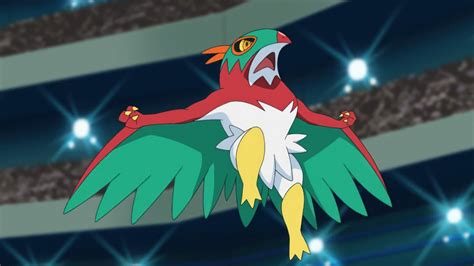 hawlucha evolve|ash's hawlucha moveset.